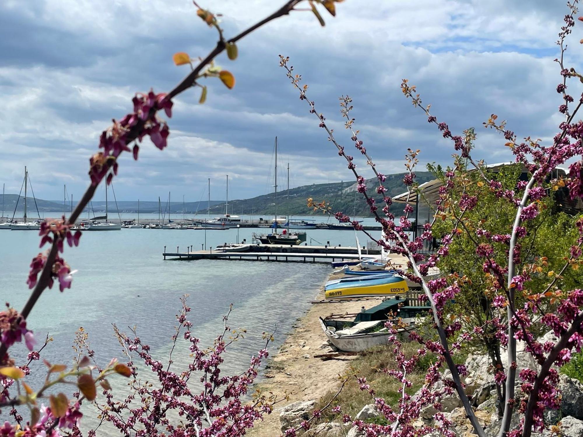 Lotos Hotel Balçık Dış mekan fotoğraf